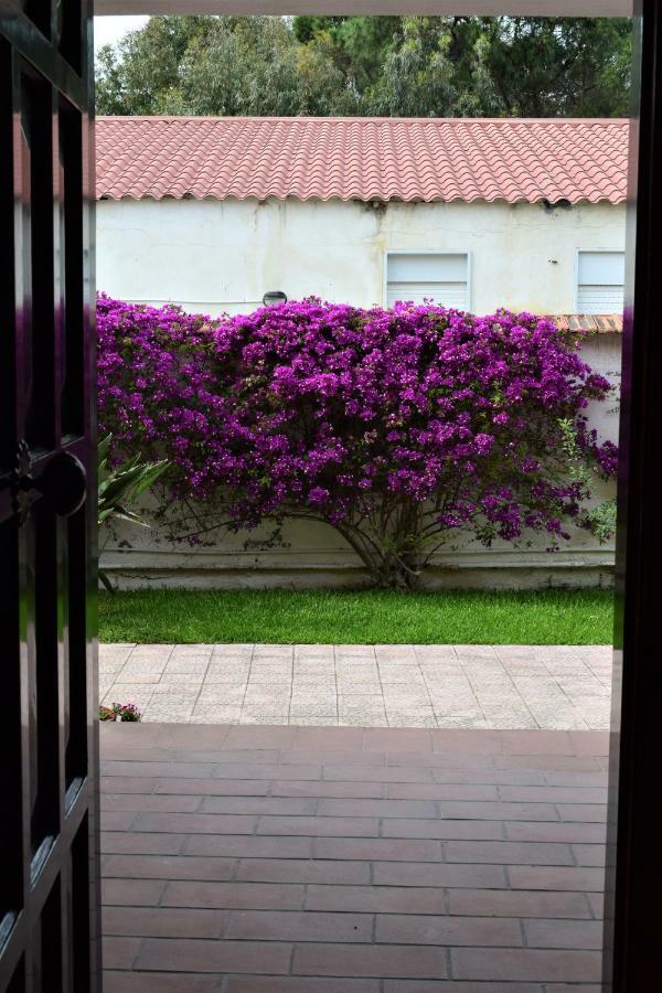 Casa Bedda Daire Agnone Bagni Dış mekan fotoğraf